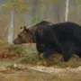 Жители села Белогорье в Амурской области бьют тревогу из-за крупного медведя возле жилых домов