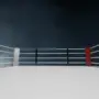 Структуру ACA обошла волна увольнений после турнира в Грозном