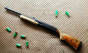 Амурчанину грозит до семи лет тюрьмы за струльбу из ружья по машине брата