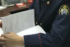 Бастрыкин взял под контроль дело о гибели ребенка в Благовещенске