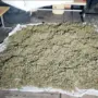 Более 23 килограммов марихуаны: транспортные полицейские накрыли крупную наркофабрику в Благовещенске
