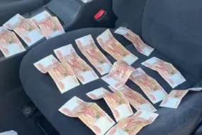 В Амурской области мигранта отправили в СИЗО за попытку дать взятку ДПС