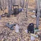 Жителю Приамурья грозит до 10 лет колонии за организацию лесной нарколаборатории