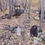 Жителю Приамурья грозит до 10 лет колонии за организацию лесной нарколаборатории