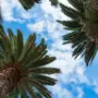 Туристам рассказали об уловках в Турции и Египте для отъема денег